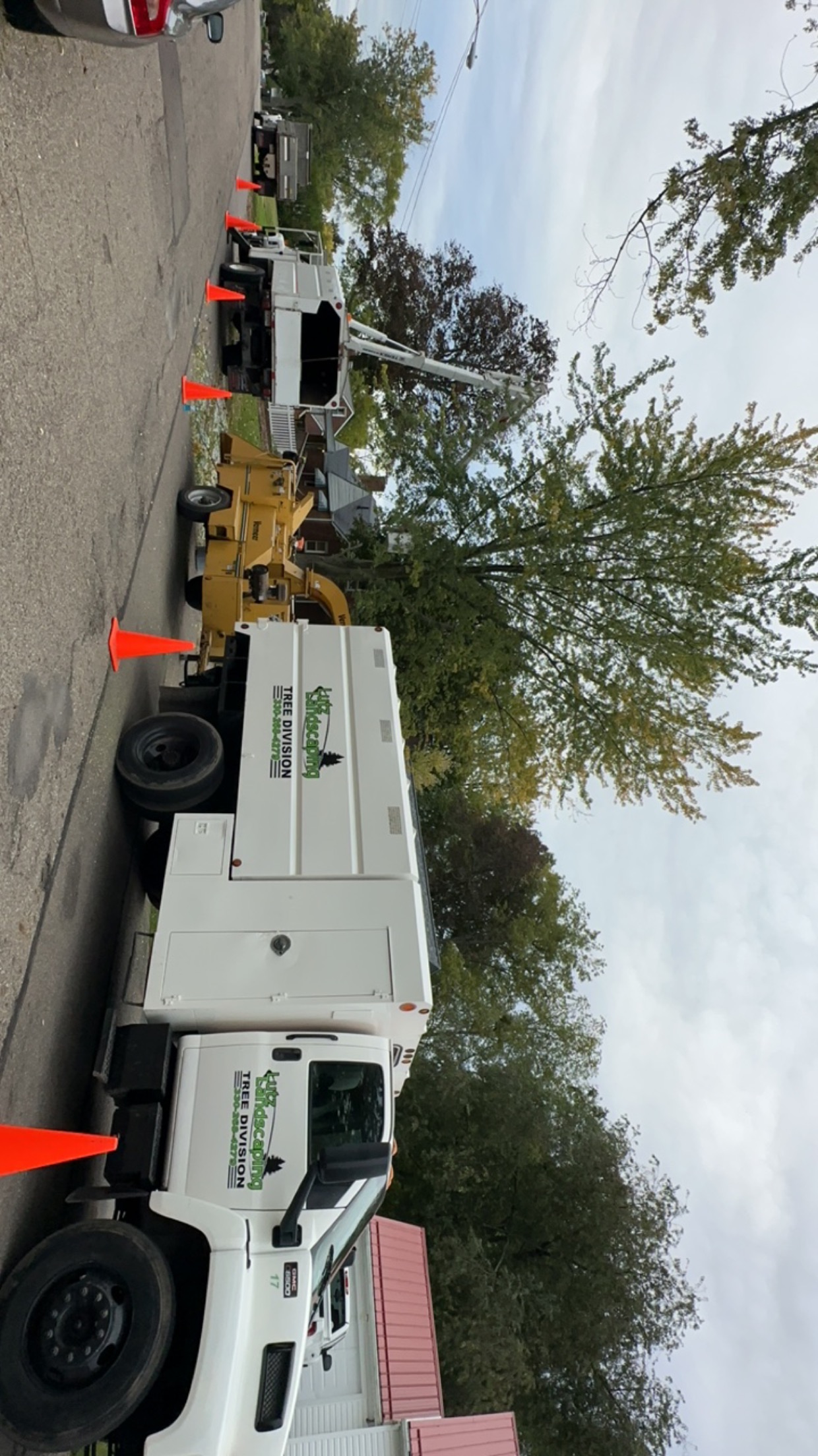 Tree Trimming Service